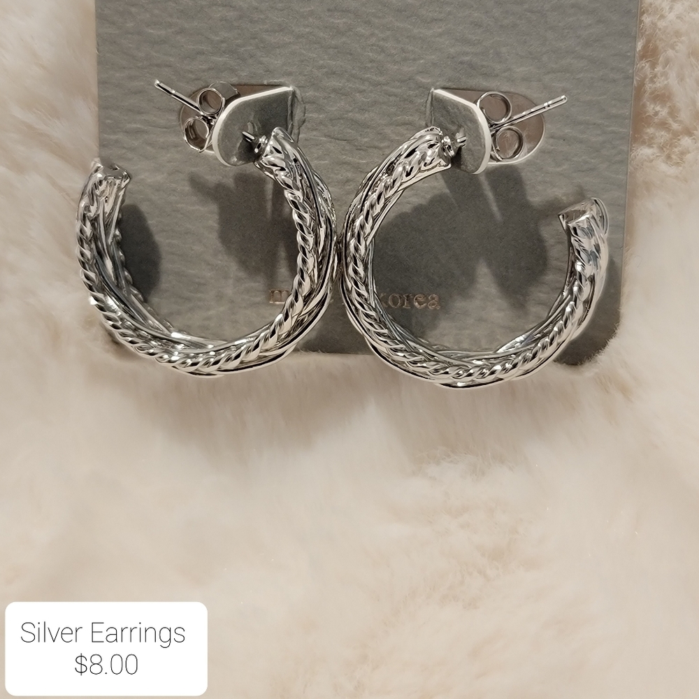 Earrings